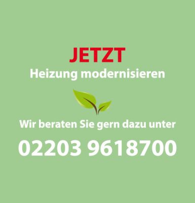 Heizung modernisieren
